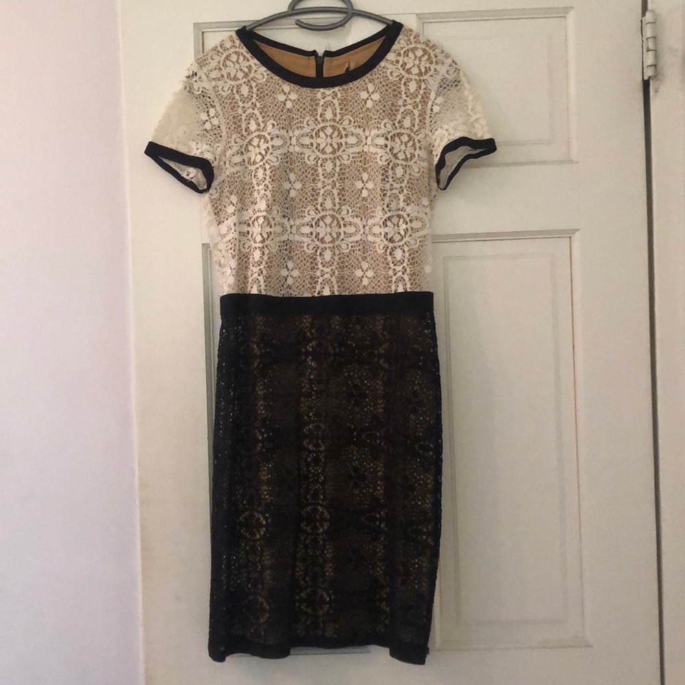 Bailey 44 two-toned lace dress